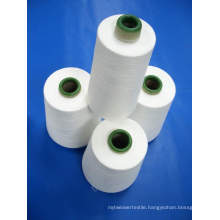 Spun Polyester Yarn for Sewing Thread (30s/3)